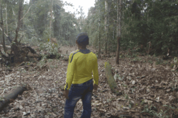 An indigenous Colombian takes in deforestation close to the Amacayacu National Park in the Colombian Amazon.