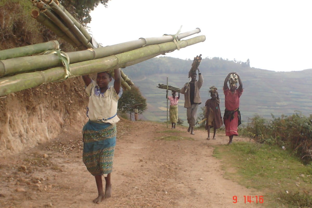 ‘We see its value’ Ugandan communities benefiting from agroforestry