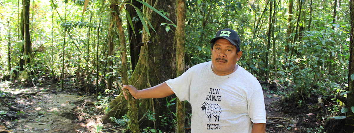 Valentin Suchite patrols the forest searching for signs of deforestation. Image by Anna-Catherine Brigida for Mongabay.