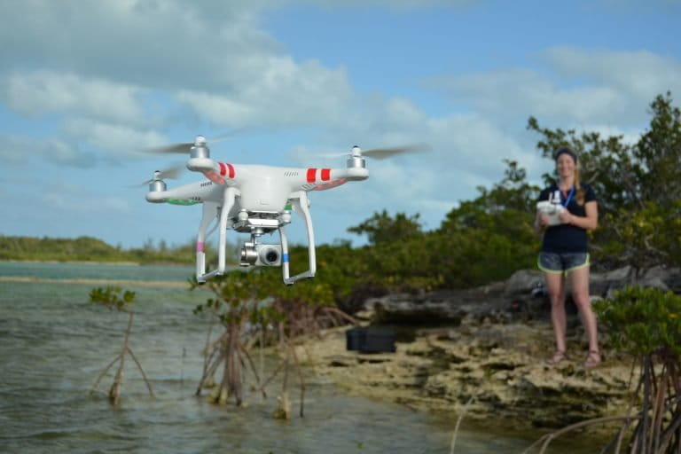 photo of Hobby-grade drones above can monitor marine animals beneath the surface image