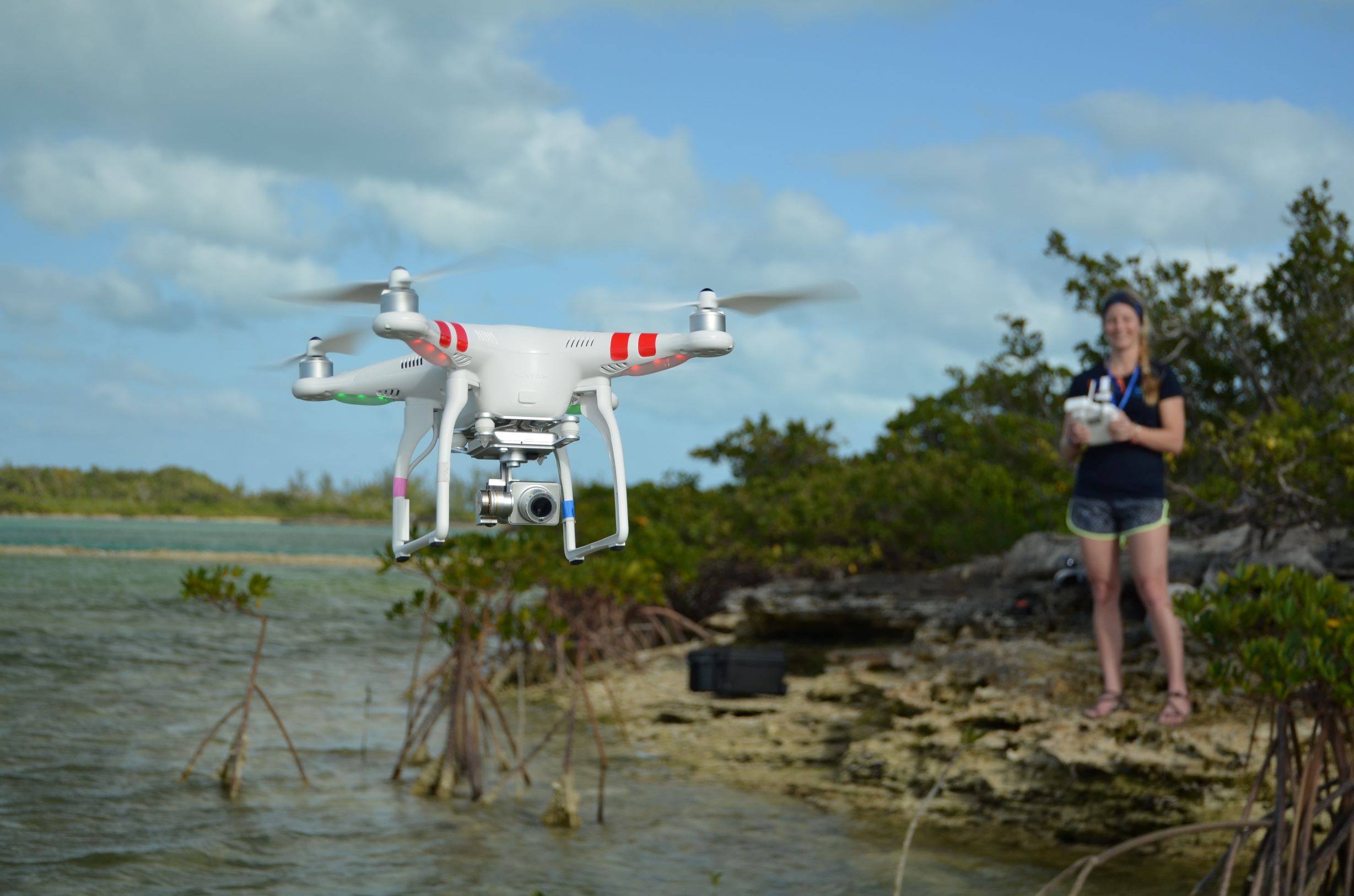 Study lead author Enie Hensel flies a small commercial drone over the shallow waters of The Bahamas to test its utility in surveying and monitoring large marine animals. The researchers conducted aerial surveys and analyzed drone video footage to record the numbers and species of animals spotted.