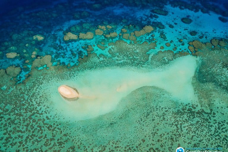 The Great Barrier Reef in Australia. Image by Christopher Brunner/ARC Centre of Excellence for Coral Reef Studies via Flickr (CC BY-ND 2.0).