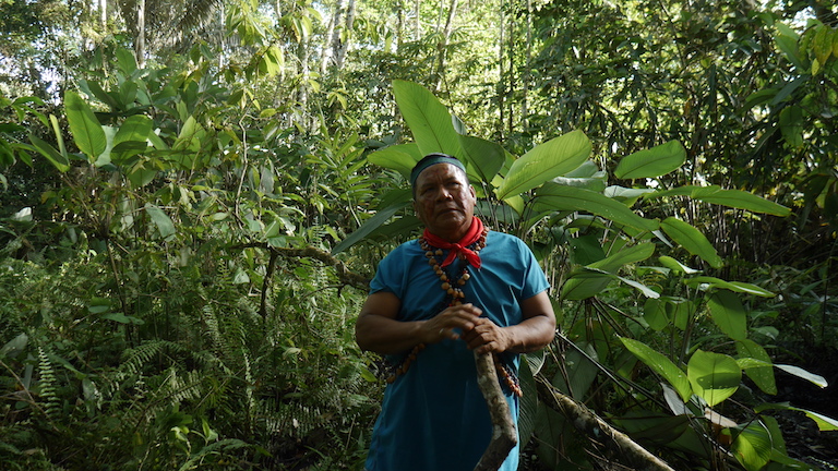 Emergildo Criollo, an indigenous Kofan, digs up crude oil hidden from view in a rainforest swamp near Lago Agrio, Ecuador. Image by Dan Collyns for Mongabay.