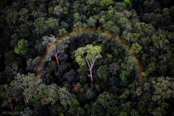 Rainforest rainbow in Sabah. Image by Rhett Butler for Mongabay.