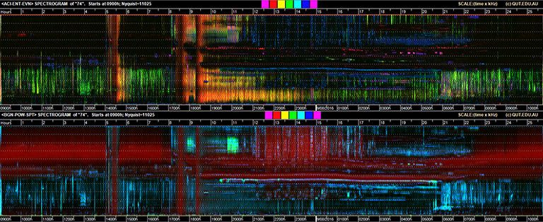 Soundscape of forest in East Kalimantan in Indonesian Borneo. Image courtesy of Queensland University of Technology.