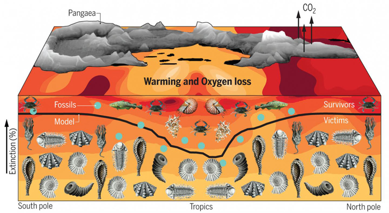 Worst mass extinction event in Earth's history was caused by global warming  analogous to current climate crisis