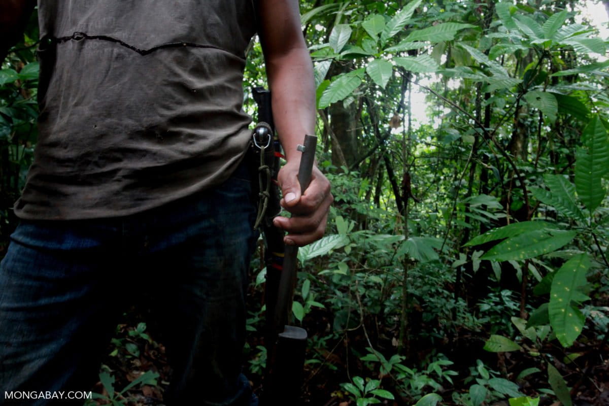 146 environmental defenders were killed or disappeared last year