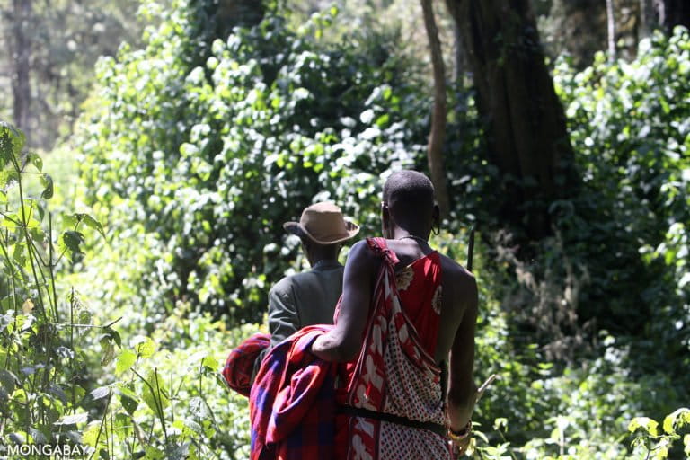 Loita forest guides