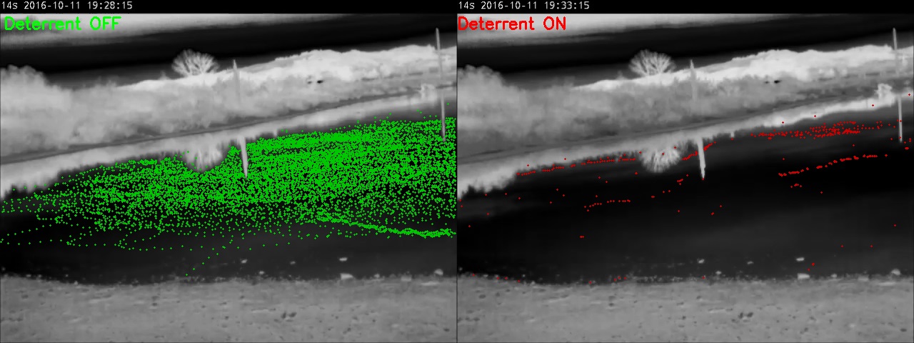 Results of a pond test of NRG's bat deterrent systems. The deterrents were turned on for 5 minutes and then off for 5 minutes multiple times. The green dots on the left shows the bats’ flight paths when the deterrents were off, while the red dots on the right shows their flight paths when the deterrents were on. There was a significant reduction in bat activity at this site when the deterrents were on. 