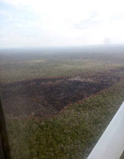 Deforestation inside a strict conservation zone in the Menabe Antimena Protected Area. Image courtesy of Fanamby.