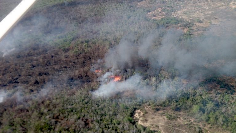 A fire burns, clearing forest to make way for corn farming, inside a strict conservation zone in Menabe Antimena Protected Area. Image courtesy of Fanamby.