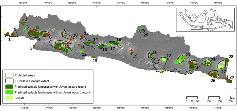 New map shows every forest matters in helping save the 