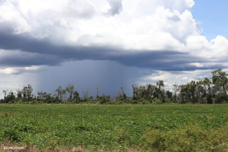 Rain storm over a patch of forest amid a sea of soy fields in Bolivia. Photo by Rhett A. Butler for Mongabay