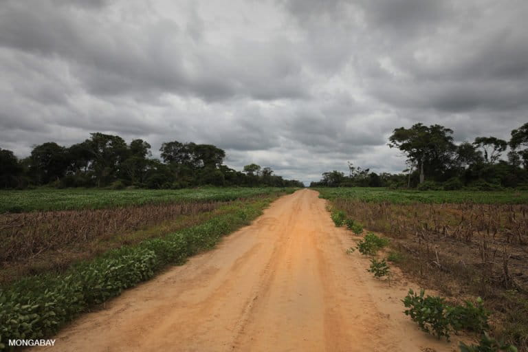 Road through soy fields and forest in Bolivia. Photo by Rhett A. Butler for Mongabay