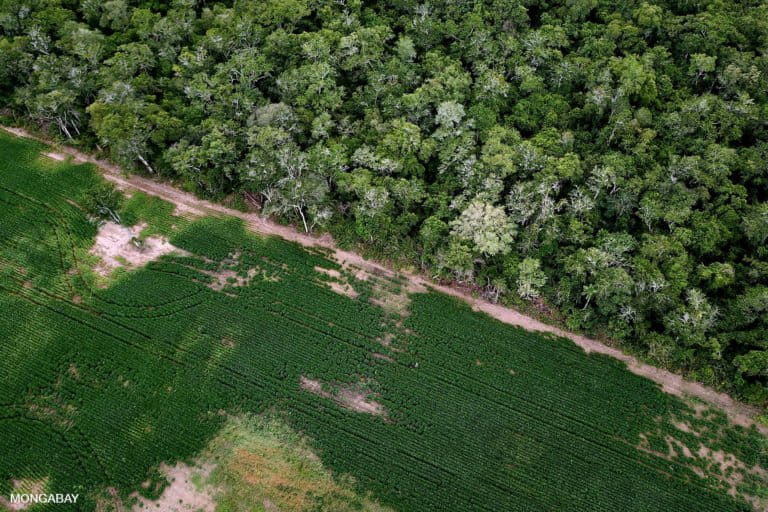 Rio San Pablo and floodplain forest at San Miguelito. Photo by Rhett A. Butler for Mongabay