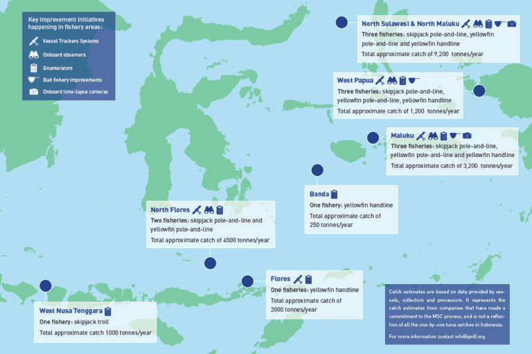 The Indonesian Handline Tuna Fishery- Buru Island – Fishing & Living