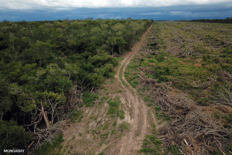 Forest in the transition zone between chaco and cerrado biomes being cleared for soybeans. Photo by Rhett A. Butler.