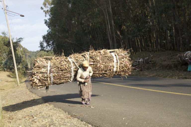 Generations of women have carried wood from Entoto Mountain to fuel the stoves of Addis Ababa, Ethiopia. Photo by Christopher Lett/Mongabay.