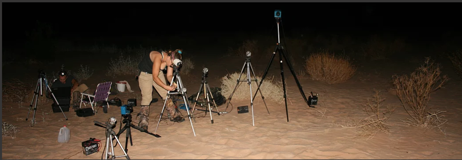 The filming setup with lights and cameras at night. Recording ambush predators such as rattlesnakes requires patience, assisted by miniature radio-tags, high-speed cameras, and infrared lights that are invisible to both the snakes and the kangaroo rats. 