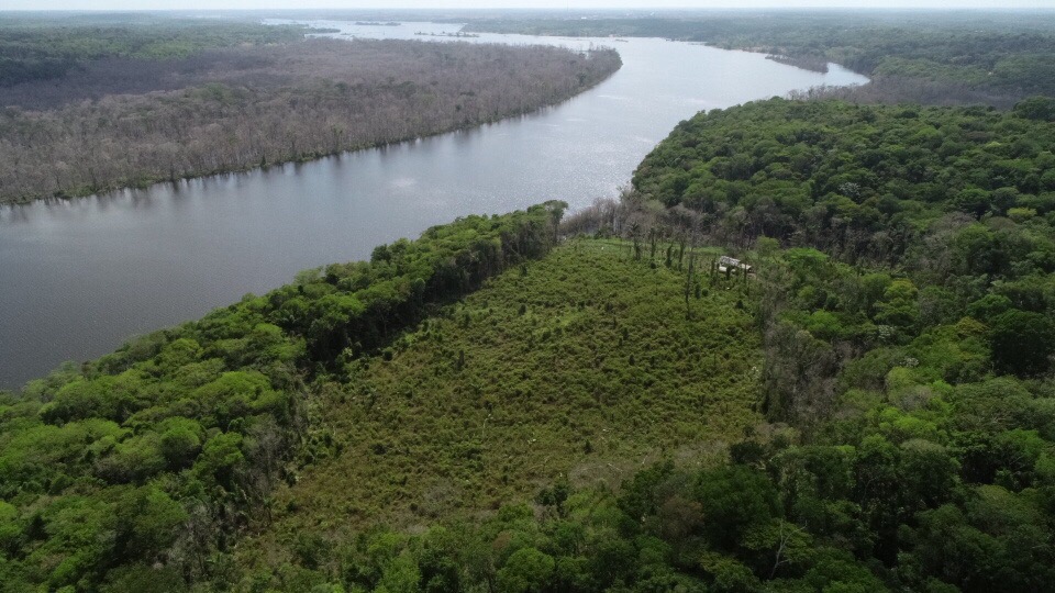 How a sheriff in Brazil is using satellites to stop deforestation