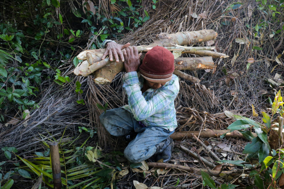 Illegal mangrove harvester with his haul in the Irrawaddy Delta. Photo by Victoria Milko.