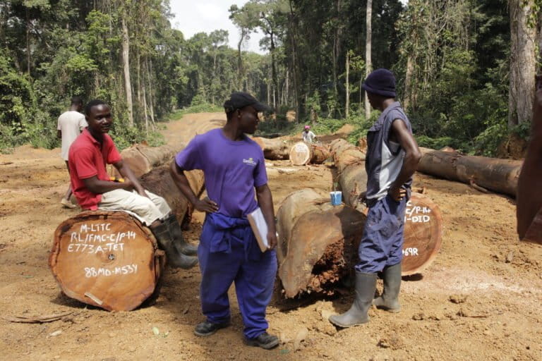 Workers marking cut logs on a road in a forestry concession in Rivercess County, Liberia. Photo by Flore de Preneuf/PROFOR, licensed under CC BY-NC 2.0