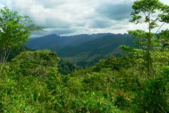 El Paujil reserve. Photo courtesy IUCN.