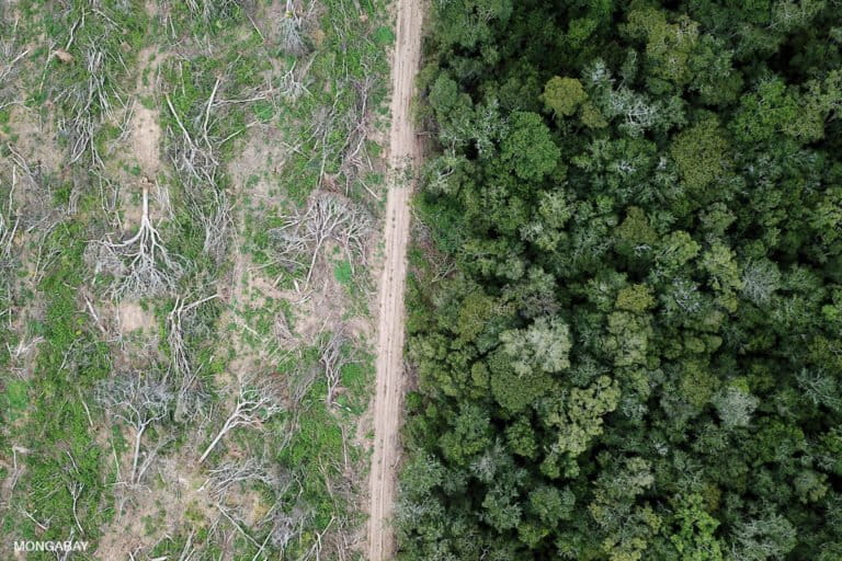 Deforestation for soy production in the Bolivian Amazon and Chaco. Photo by Rhett A. Butler.