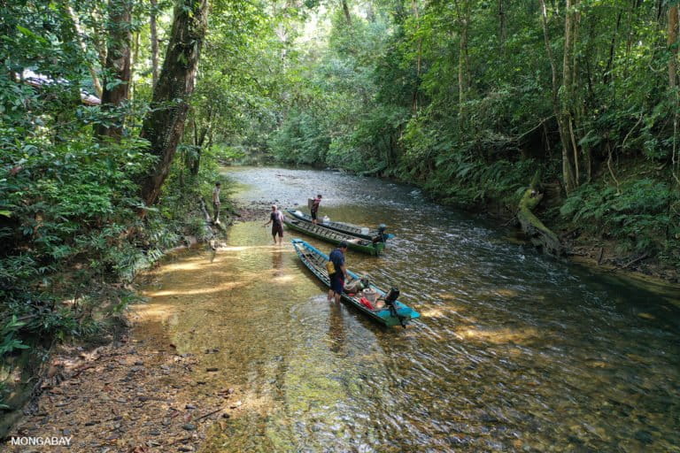 Iban dugout canoes on the Utik river in Sungai Utik's customary forest in West Kalimantan, Indonesian Borneo. Photo by Rhett A. Butler