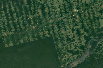 Google Earth image showing deforestation around Arara in the state of Para, in the Brazilian Amazon.