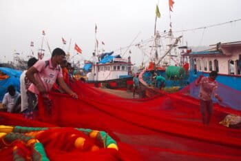 Fishers roll out a red purse-seine net in Mangalore, a major fishing harbor in southwest India. Some of the country’s coastal states are beginning to regulate purse seine fishing boats, especially the size of the net mesh to ensure juvenile fish don’t get caught. Image by Vaishnavi Chandrashekhar.