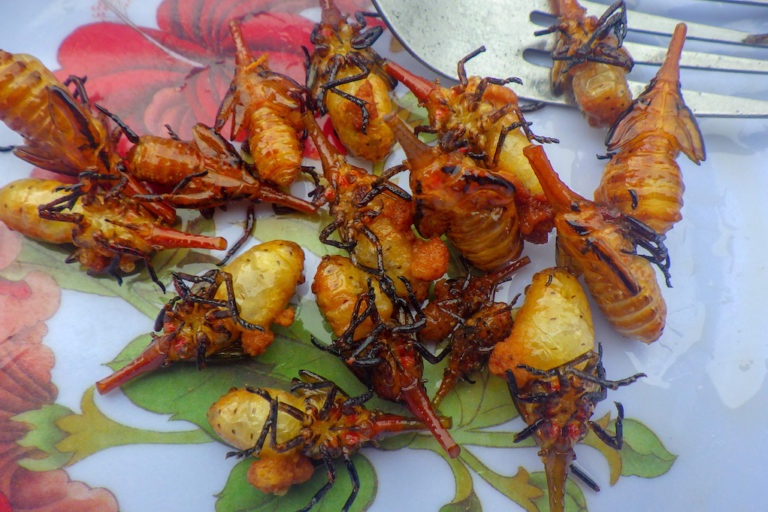 Edible Insects in Africa, Eating insects