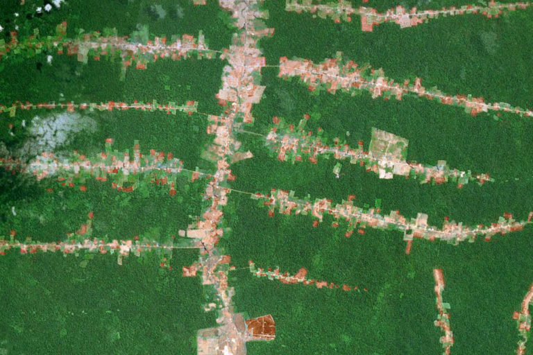 amazon rainforest deforestation satellite