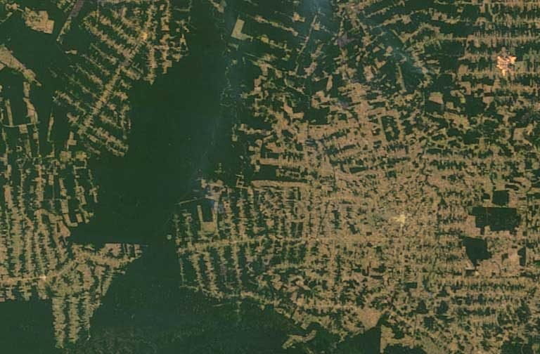 amazon rainforest deforestation satellite