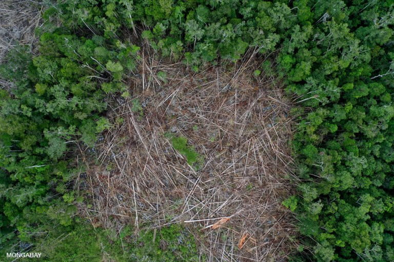 Deforestation in Kapuas Hulu, Indonesian Borneo. Photo by Rhett A. Butler.