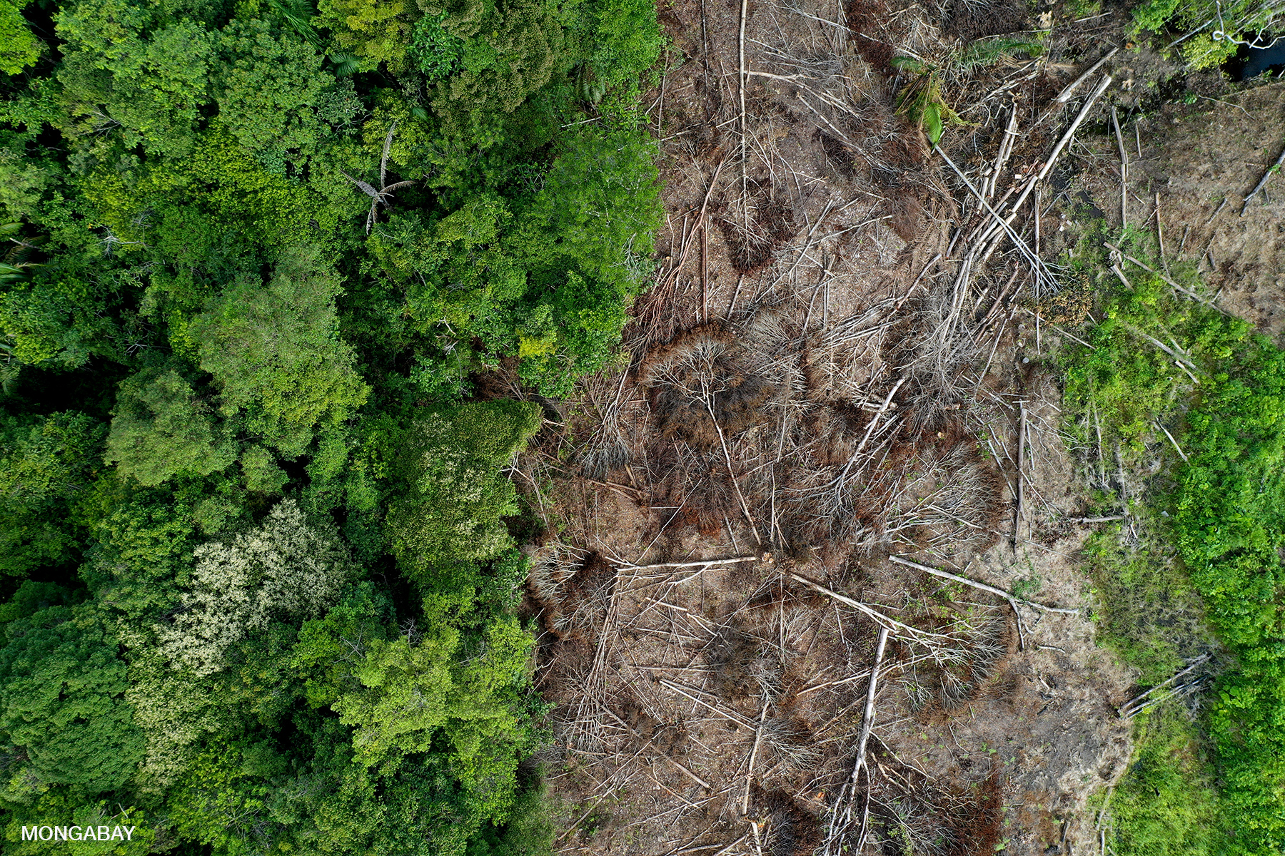 Deforestation in Kapuas Hulu, Indonesian Borneo. Photo by Rhett A. Butler.