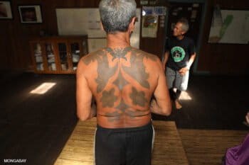 Traditional Iban tattoos on a Dayak leader's back. Photo by Rhett A. Butler.