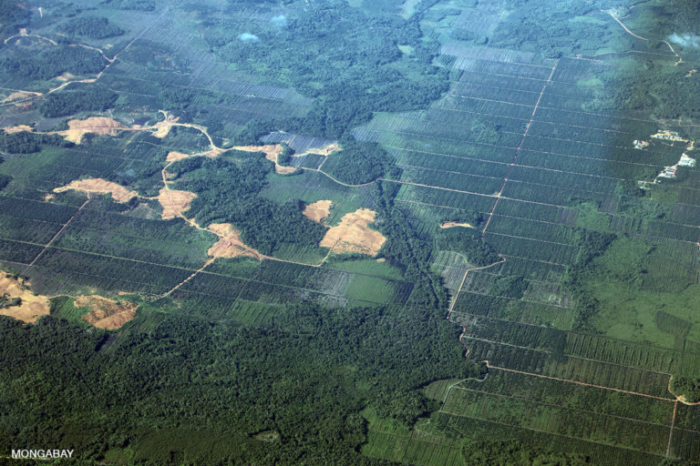 Deforestation for palm oil and mining in Indonesia. Photo by Rhett A. Butler.