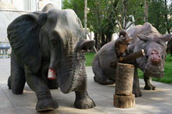 Part of anti-trafficking campaign in Ho Chi Minh City, Vietnam. Photo by Michael Tatarski for Mongabay.