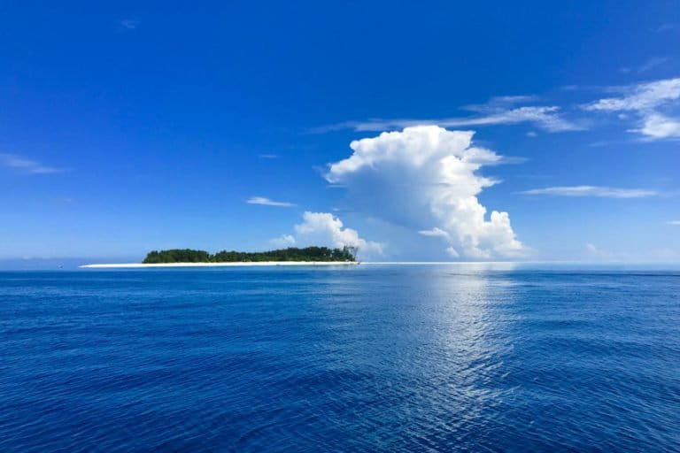 Dive site off Zanzibar