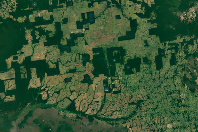 Google Earth images showing forest fragments in a deforested landscape in Rio Omerê, Rondônia, Brazil.