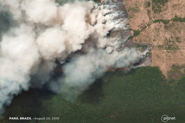 Fires burning in the state of Pará, Brazil on August 16, 2019. Courtesy of Planet Labs Inc.