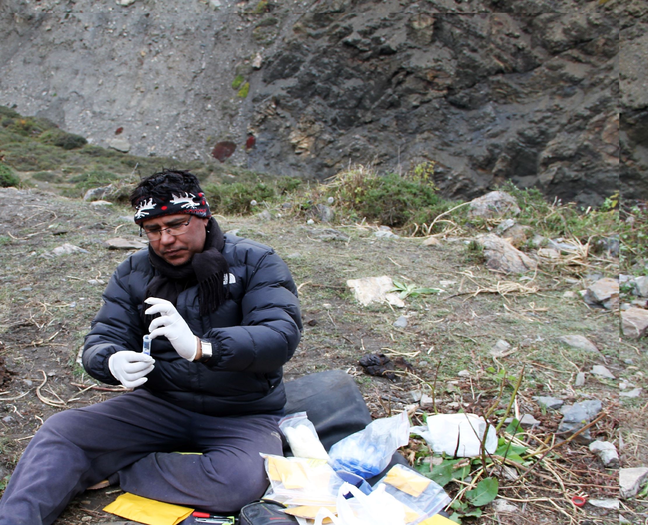 Researcher Madhu Chetri in the field preparing a genetic sample of snow leopard DNA from a scat sample. Image courtesy of Madhu Chetri.