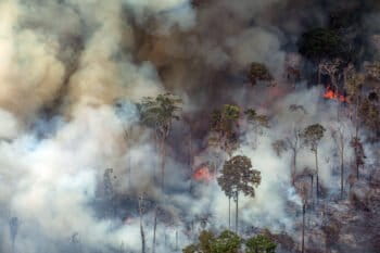 CANDEIRAS DO JAMARI, RONDÔNIA, BRAZIL: Aerial view of a large burned area in the city of Candeiras do Jamari in the state of Rondônia. (Photo: Victor Moriyama / Greenpeace)