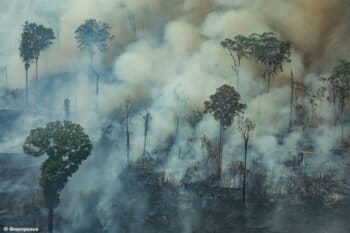 CANDEIRAS DO JAMARI, RONDÔNIA, BRAZIL: Aerial view of a large burned area in the city of Candeiras do Jamari in the state of Rondônia. (Photo: Victor Moriyama / Greenpeace)