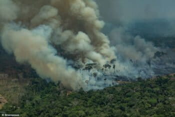 CANDEIRAS DO JAMARI, RONDÔNIA, BRAZIL: Aerial view of a large burned area in the city of Candeiras do Jamari in the state of Rondônia. (Photo: Victor Moriyama / Greenpeace)