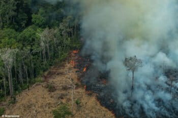 CANDEIRAS DO JAMARI, RONDÔNIA, BRAZIL: Aerial view of a large burned area in the city of Candeiras do Jamari in the state of Rondônia. (Photo: Victor Moriyama / Greenpeace)