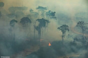 PORTO VELHO, RONDÔNIA, BRAZIL. Aerial view of burned areas in the Amazon rainforest, in the city of Porto Velho, Rondônia state. (Photo: Victor Moriyama / Greenpeace)