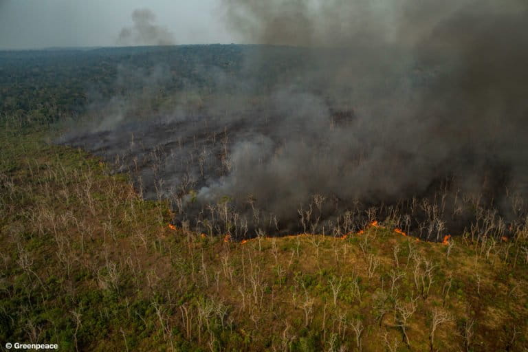 Greenpeace Releases Dramatic Photos Of Amazon Fires