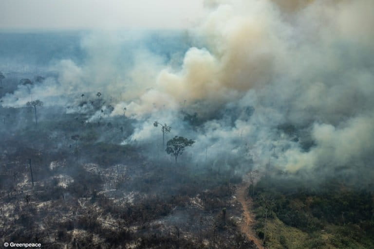 COLNIZA, MATO GROSSO, BRAZIL. Aerial view of burned areas in the Amazon rainforest, in the city of Colniza, Mato Grosso state. (Photo: Victor Moriyama / Greenpeace)